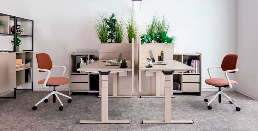 Escritorio personalizado